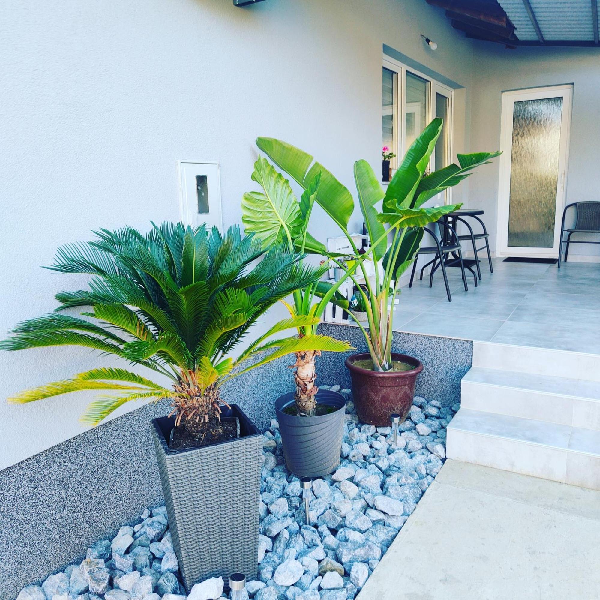 Apartmani Sun & Moon Bjelovar Eksteriør billede